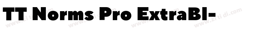 TT Norms Pro ExtraBl字体转换